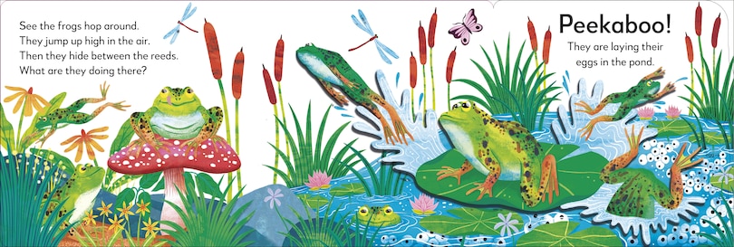Sample content_Pop-Up Peekaboo! Frog