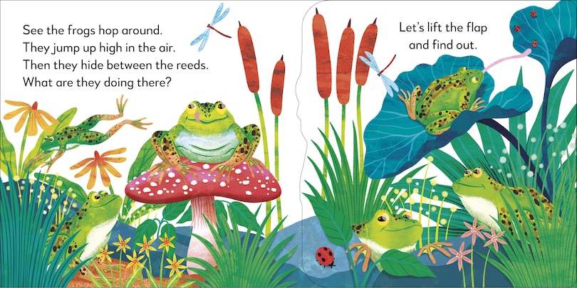 Sample content 2_Pop-Up Peekaboo! Frog
