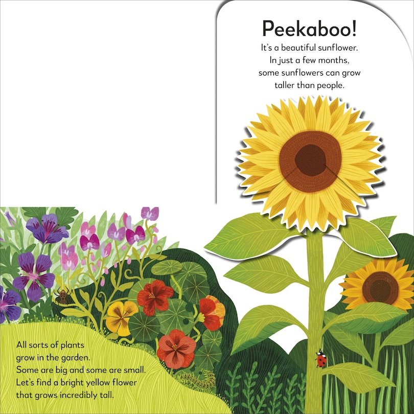 Sample content 3_Pop-Up Peekaboo! Garden