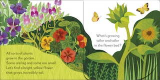 Sample content 4_Pop-Up Peekaboo! Garden