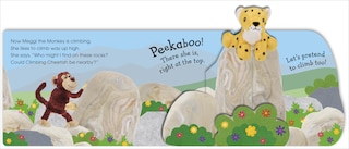 Sample content 4_Pop-Up Peekaboo! Monkey