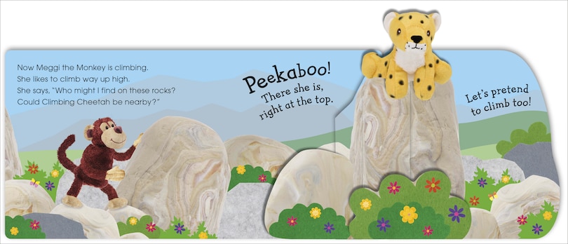 Sample content 4_Pop-Up Peekaboo! Monkey