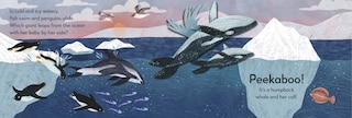 Aper&ccedil;u du contenu_Pop-up Peekaboo! Ocean