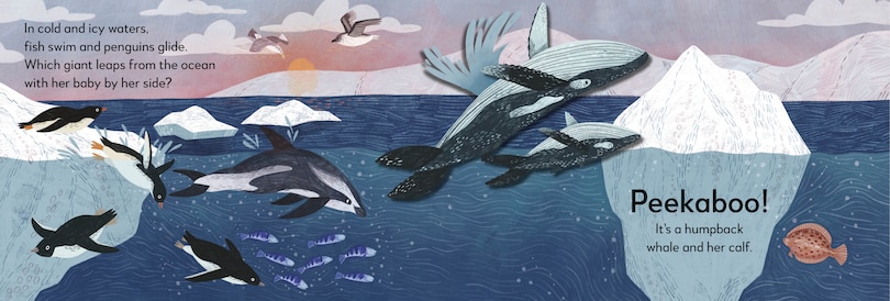 Aper&ccedil;u du contenu_Pop-up Peekaboo! Ocean