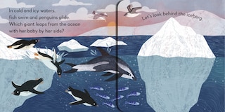 Aper&ccedil;u du contenu 2_Pop-up Peekaboo! Ocean