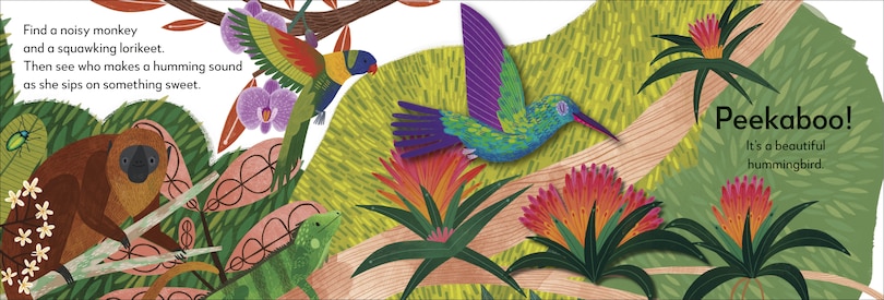 Sample content_Pop-Up Peekaboo! Rainforest