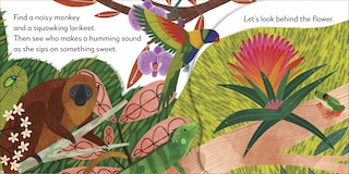 Sample content 2_Pop-Up Peekaboo! Rainforest