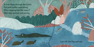 Sample content 4_Pop-Up Peekaboo! Rainforest