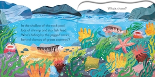 Aperçu du contenu_Pop-Up Peekaboo! Seashore