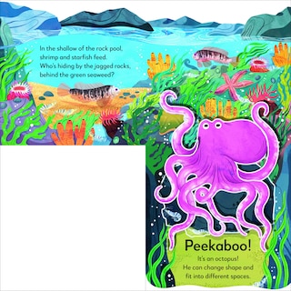 Aperçu du contenu 3_Pop-Up Peekaboo! Seashore