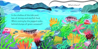 Aper&ccedil;u du contenu 4_Pop-Up Peekaboo! Seashore