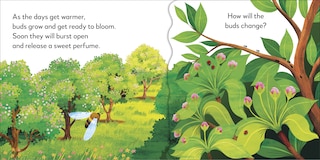 Sample content_Pop-Up Peekaboo! Tree