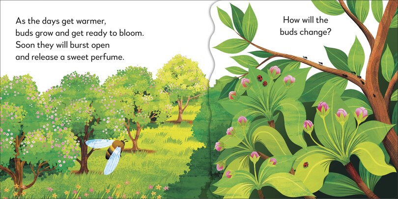 Sample content_Pop-Up Peekaboo! Tree