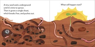 Sample content 3_Pop-Up Peekaboo! Tree