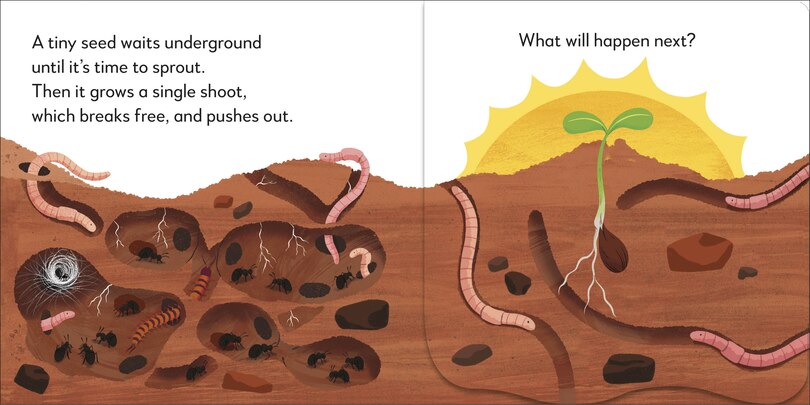 Sample content 3_Pop-Up Peekaboo! Tree