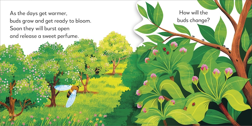 Sample content 4_Pop-Up Peekaboo! Tree