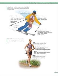 Aper&ccedil;u du contenu_Practical Guide to Exercise Physiology