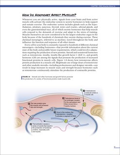 Aper&ccedil;u du contenu 4_Practical Guide to Exercise Physiology