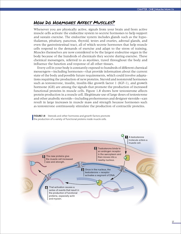 Aper&ccedil;u du contenu 4_Practical Guide to Exercise Physiology
