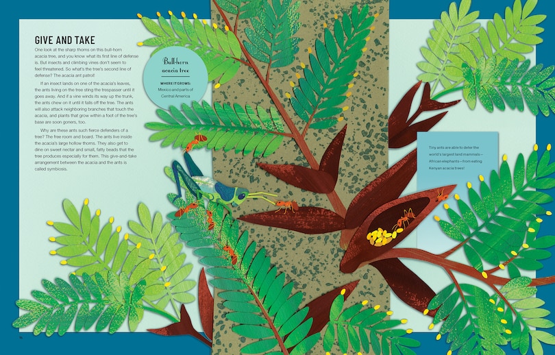 Aper&ccedil;u du contenu 2_Pretty Tricky