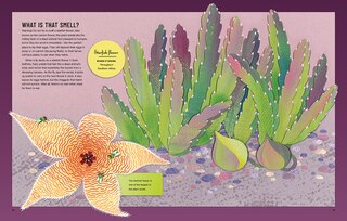 Aper&ccedil;u du contenu 3_Pretty Tricky