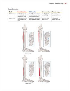 Sample content 2_Principles of Goniometry and Manual Muscle Testing
