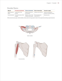 Sample content 4_Principles of Goniometry and Manual Muscle Testing