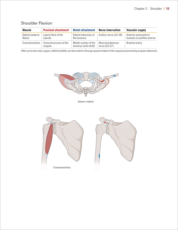 Sample content 4_Principles of Goniometry and Manual Muscle Testing