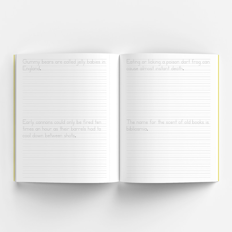 Aperçu du contenu 5_Print Handwriting Practice for Kids 8-12