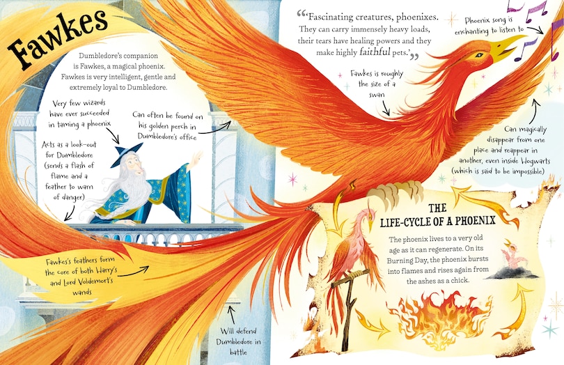 Sample content_Professor Dumbledore