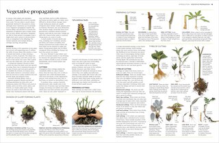 Aperçu du contenu 2_Propagating Plants