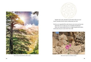 Aper&ccedil;u du contenu 4_PROPHET ILLU