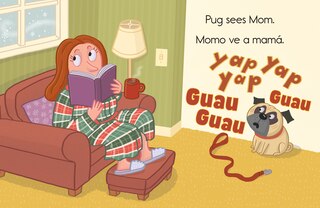 Sample content 2_Pug / Momo