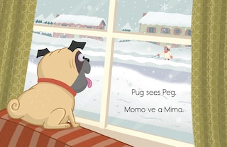 Sample content 3_Pug / Momo