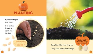 Aperçu du contenu_Pumpkins (Learn About: Fall)