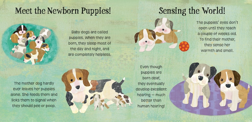 Sample content_Puppies Know & Grow