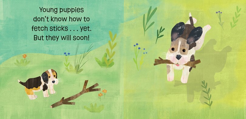 Sample content 3_Puppies Know & Grow