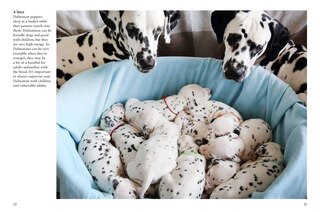 Sample content 5_Puppies