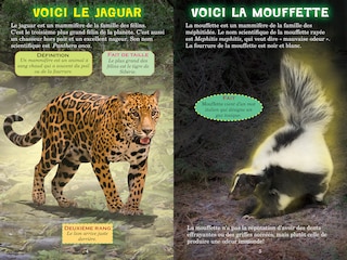 Aper&ccedil;u du contenu_Qui va gagner? : Le jaguar ou la mouffette