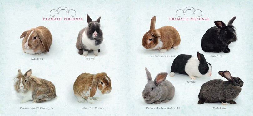 Sample content_Rabbit Warren Peace
