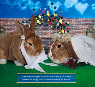 Sample content 2_Rabbit Warren Peace