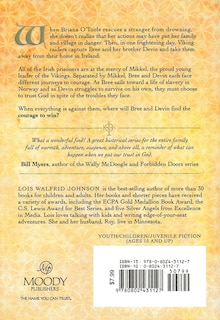 Back cover_Raiders from the Sea