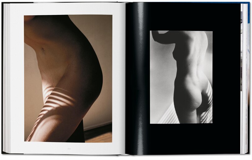 Sample content 4_Ralph Gibson. Nude