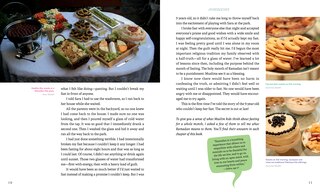 Sample content_Ramadan