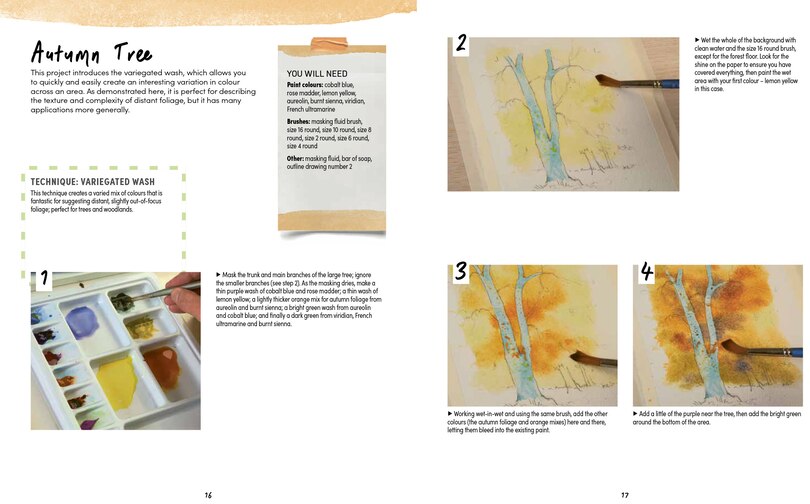 Sample content 4_Ready to Paint Postcards: Woodlands