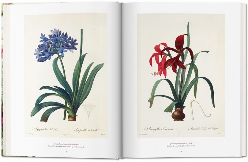 Aper&ccedil;u du contenu 4_Redout&eacute;. El Libro De Las Flores