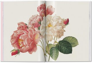 Aperçu du contenu 4_Redouté. Roses