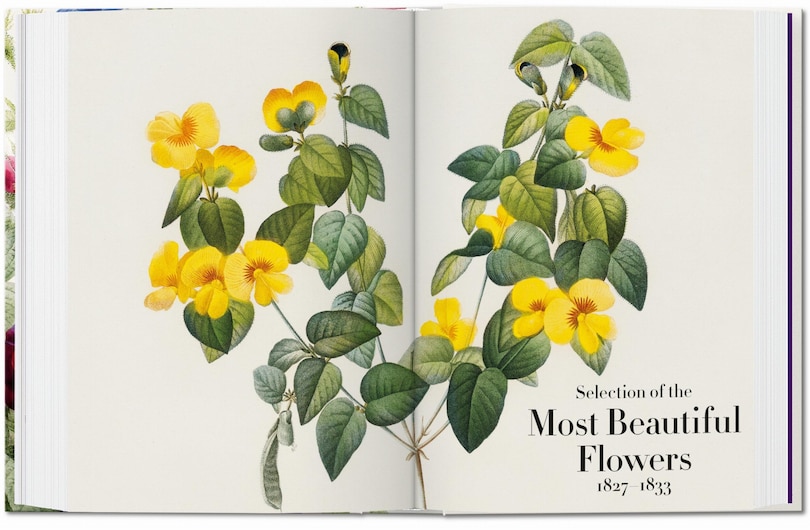 Sample content_Redouté. The Book of Flowers. 45th Ed.