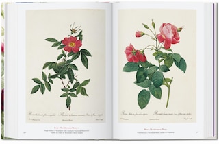 Sample content 2_Redouté. The Book of Flowers. 45th Ed.
