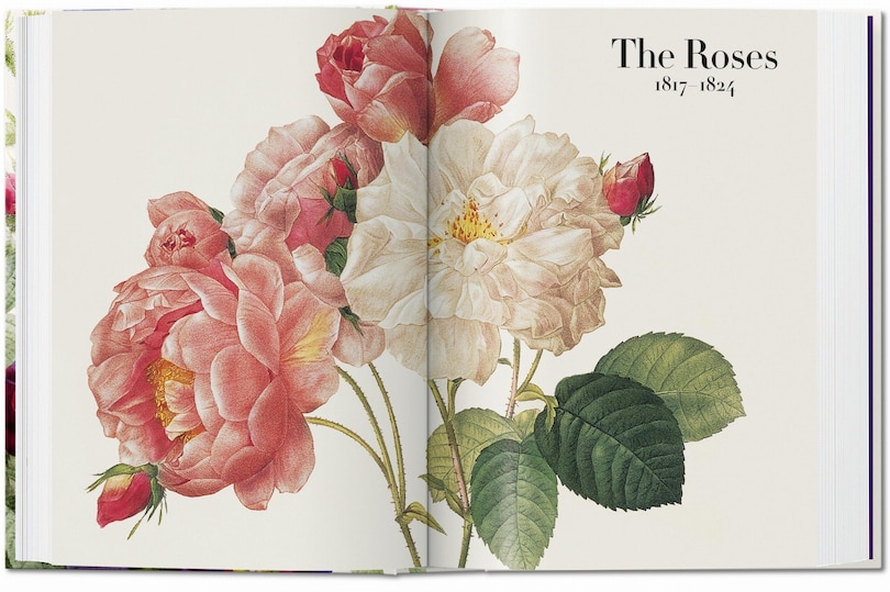 Sample content 3_Redouté. The Book of Flowers. 45th Ed.